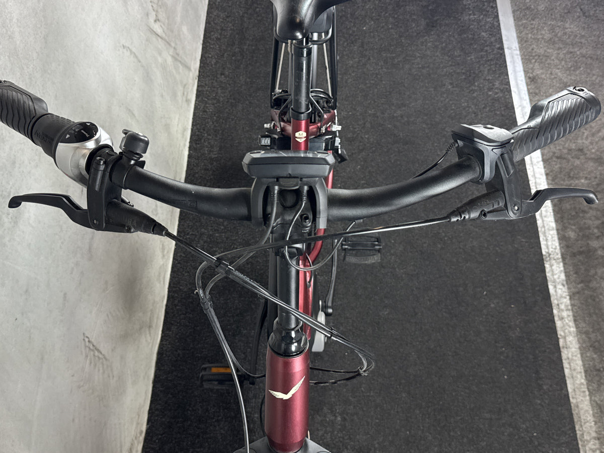 Bifoco — cockpit_von_vorne
