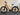 Gazelle MEDEO T10 HMB
