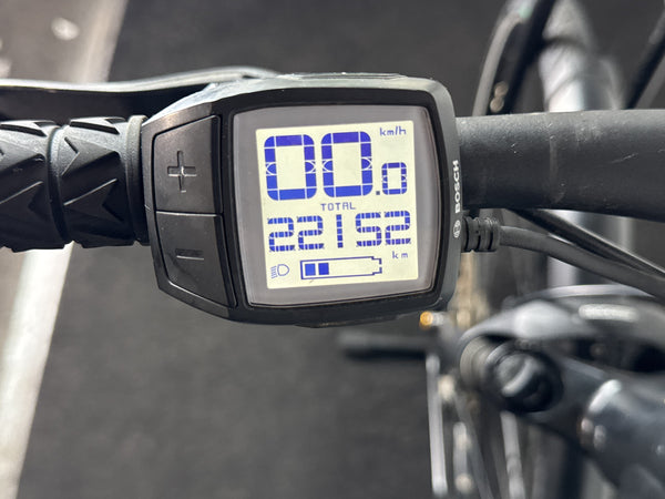 Riese & Müller Roadster Vario