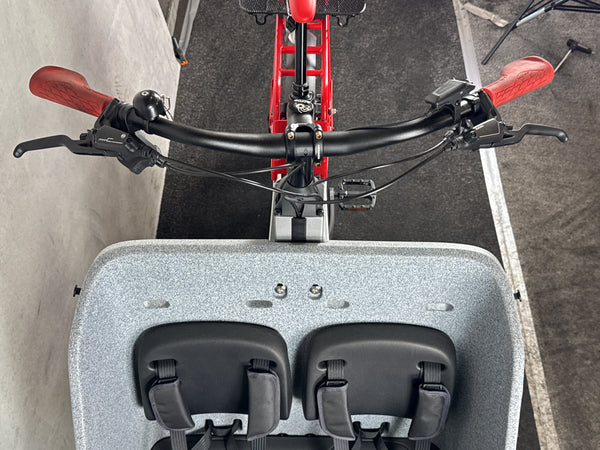 Cannondale Wonderwagen Neo 2