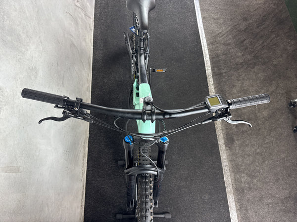 Orbea Wild FS M20