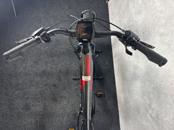 Raymon Tourray 6.0