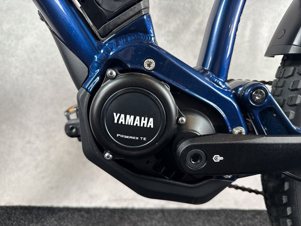 RAYMON CrossRay E FS 4.0