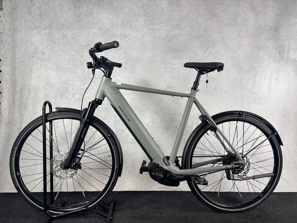 Riese & Müller Roadster vario