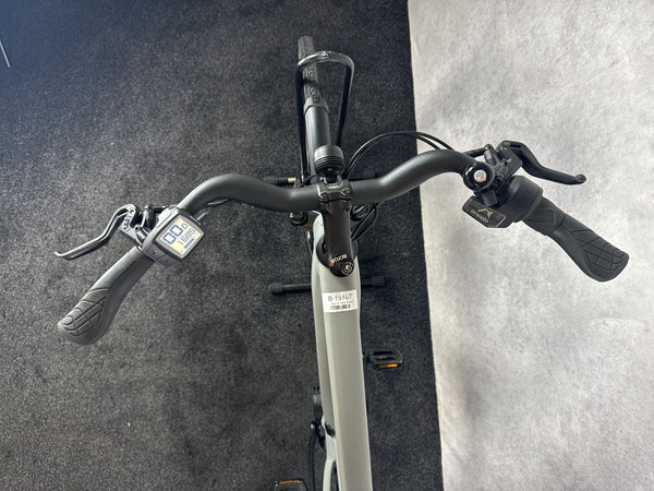 Riese & Müller Roadster vario