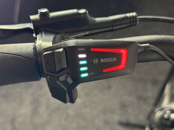 Pegasus Premio Evo 5F Belt