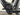 Bifoco — motor_links