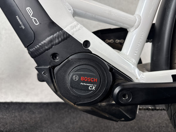 Pegasus Premio Evo 10 Lite