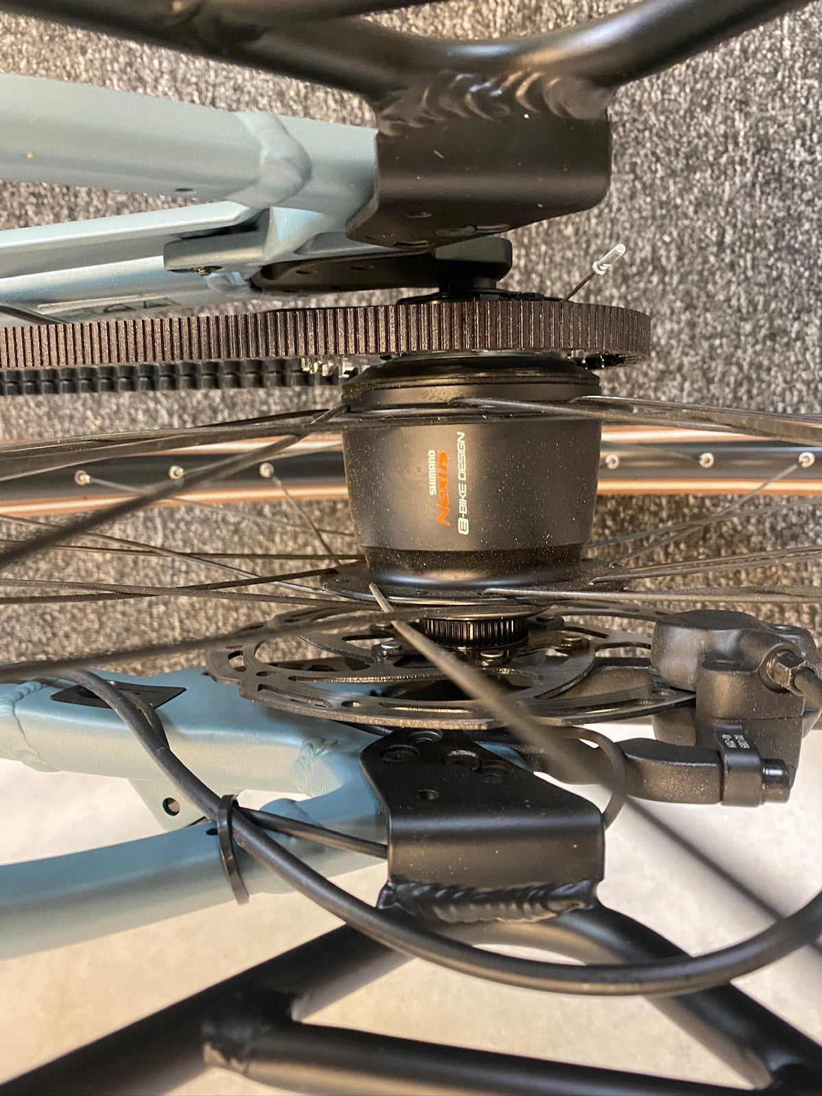 Kettler P5 Belt FL