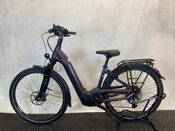 Pegasus Premio EVO 11 "40 Years"