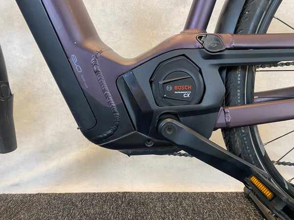 Pegasus Premio EVO 11 "40 Years"