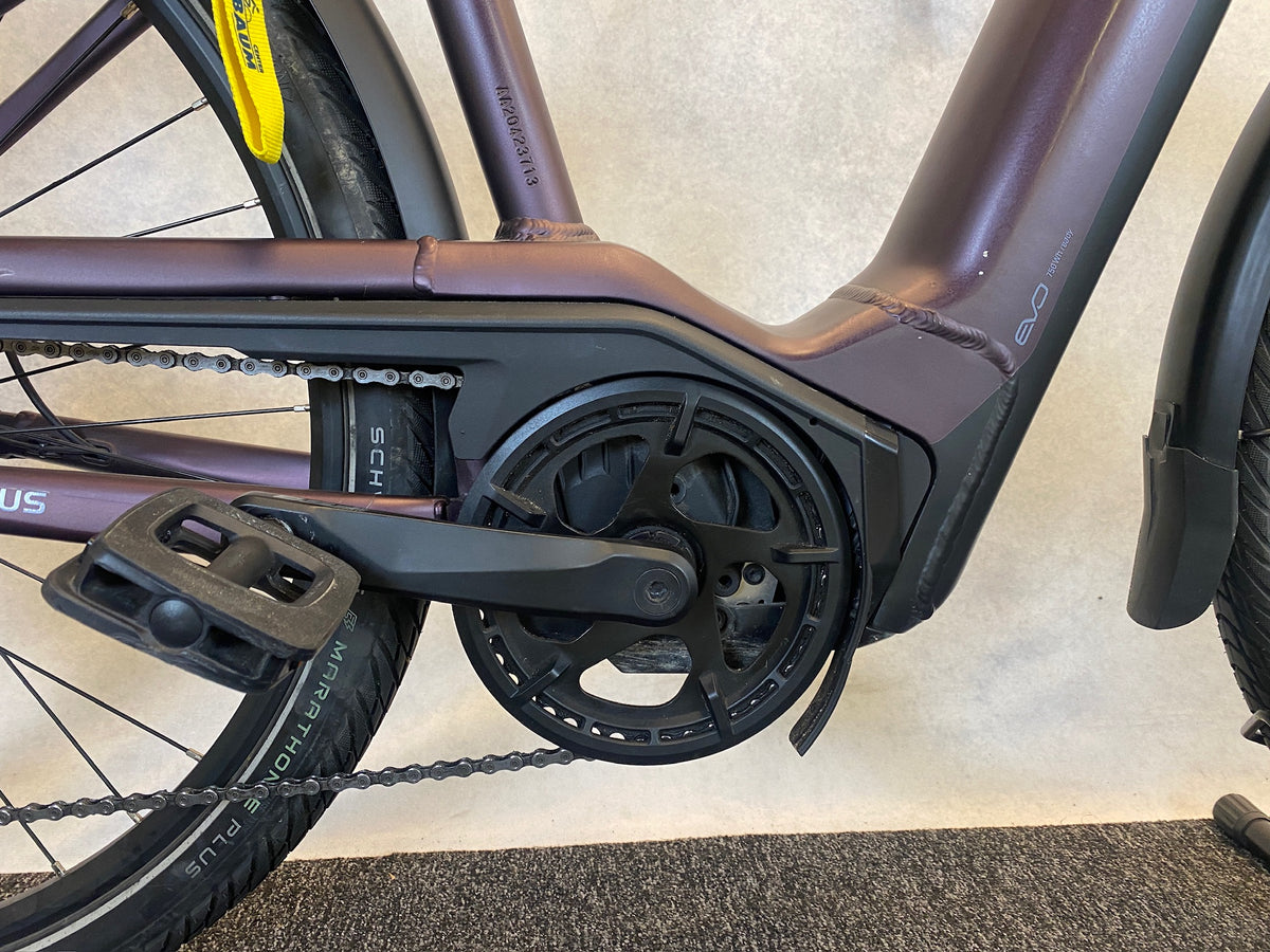 Pegasus Premio EVO 11 "40 Years"
