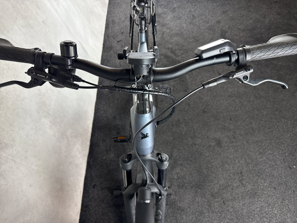 Bifoco — cockpit_von_vorne