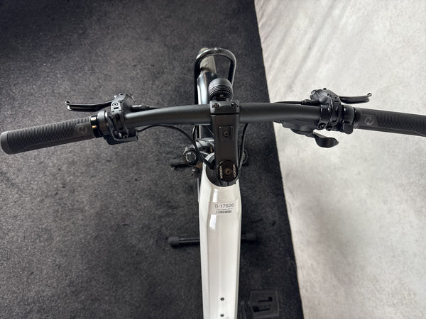 Riese & Müller UBN Six vario