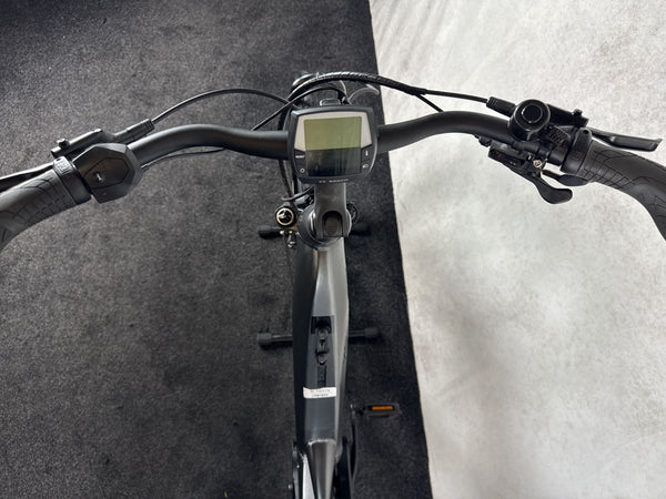 Pegasus Premio EVO 10 Lite