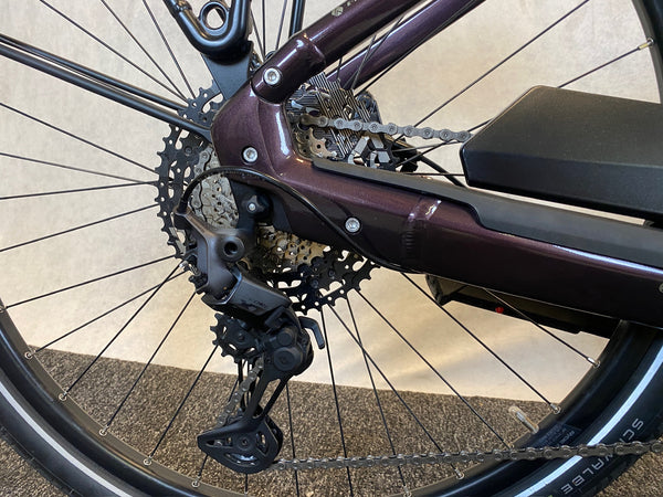 Bergamont E-Horizon Prem Expert 2024