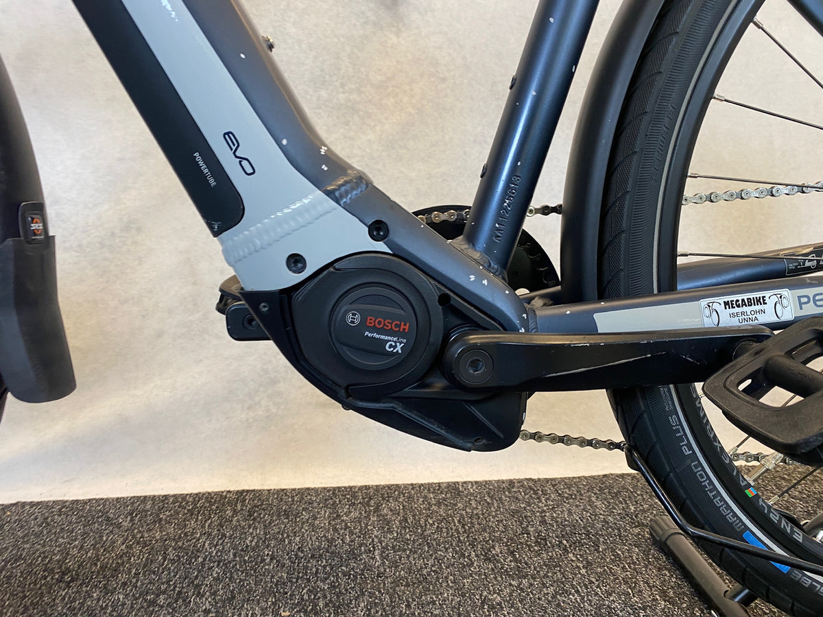 Pegasus Premio EVO 10 Lite 2022