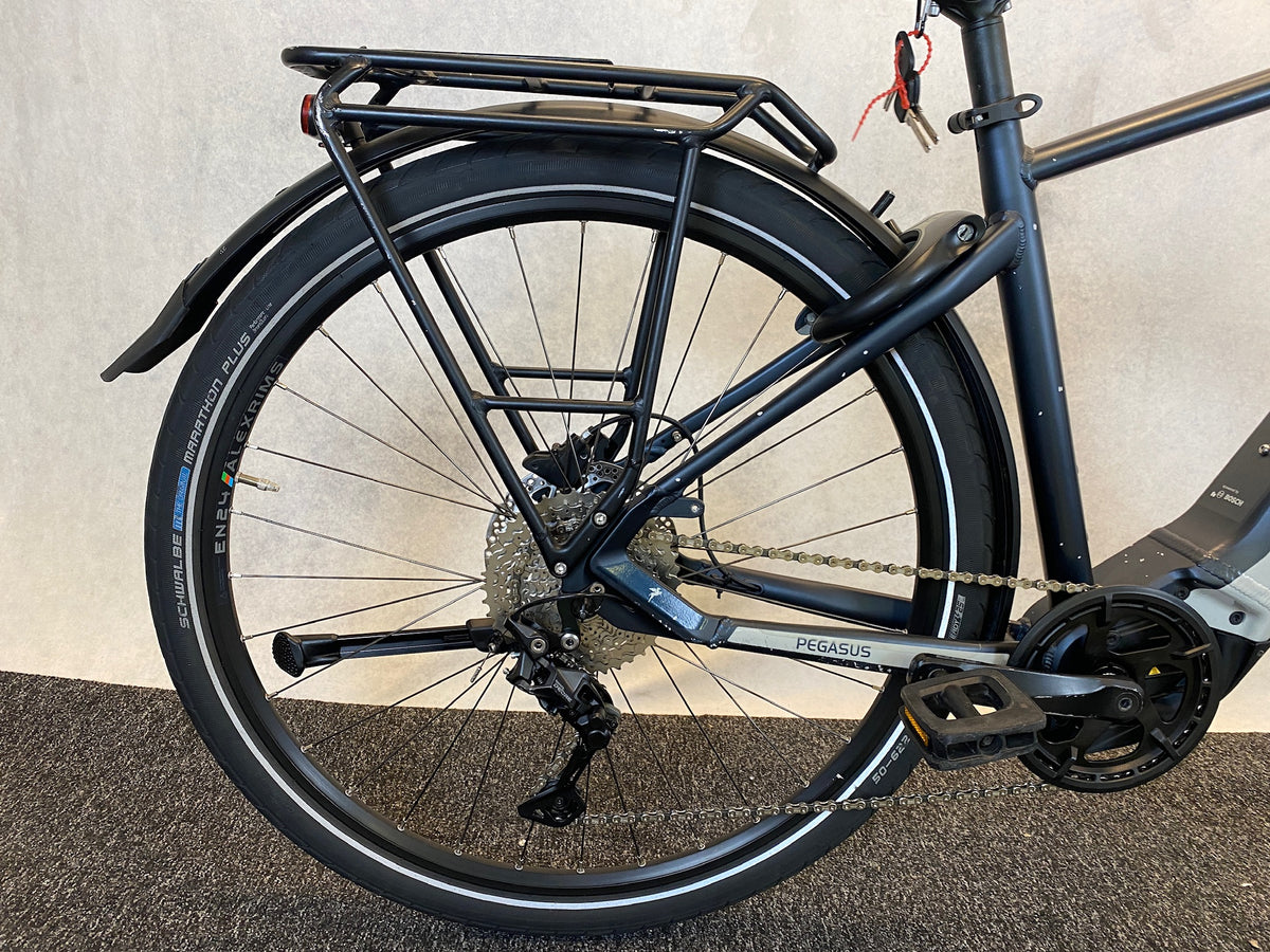 Pegasus Premio EVO 10 Lite 2022