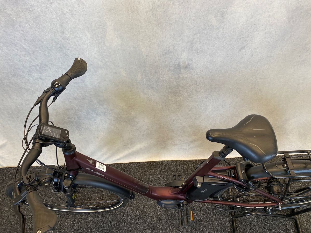 Raleigh Corby 8 2023