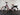 Bifoco — linke_seite