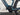 Bifoco — motor_links