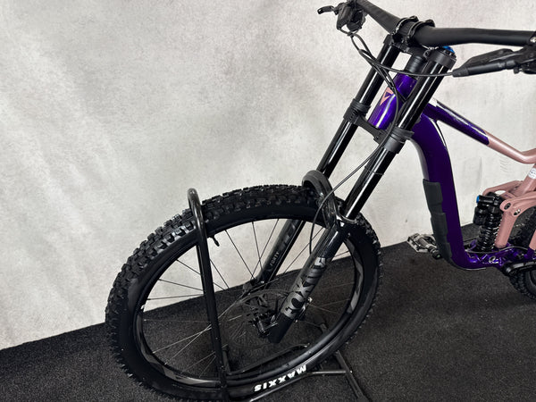 Giant Reign SX