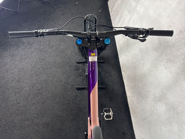 Giant Reign SX