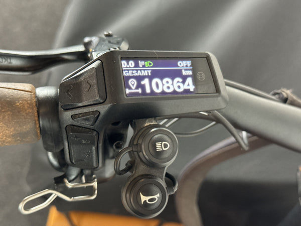 Riese & Müller Load4 60 touring HS