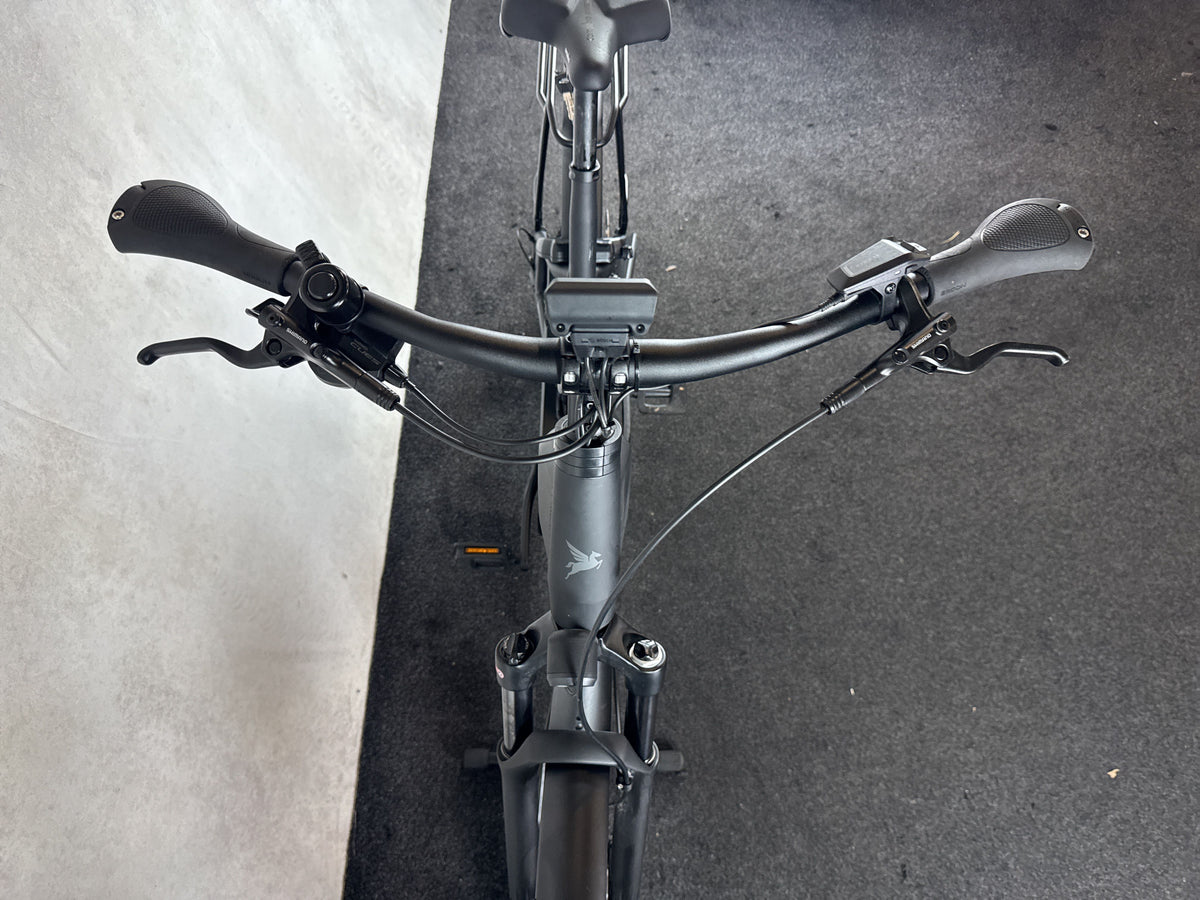 Bifoco — cockpit_von_vorne