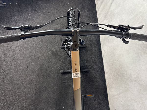 Focus WHISTLER 3.9
