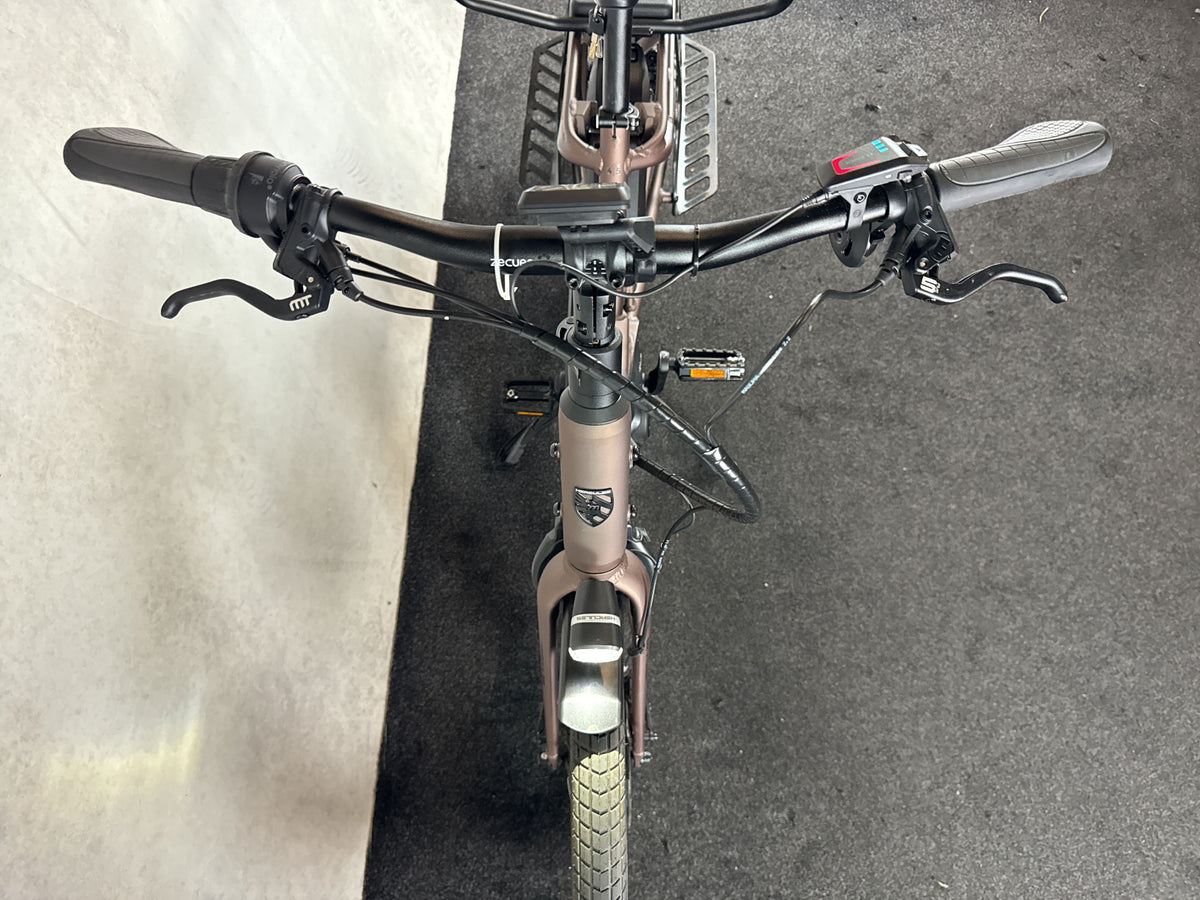 Bifoco — cockpit_von_vorne
