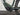 Bifoco — motor_links