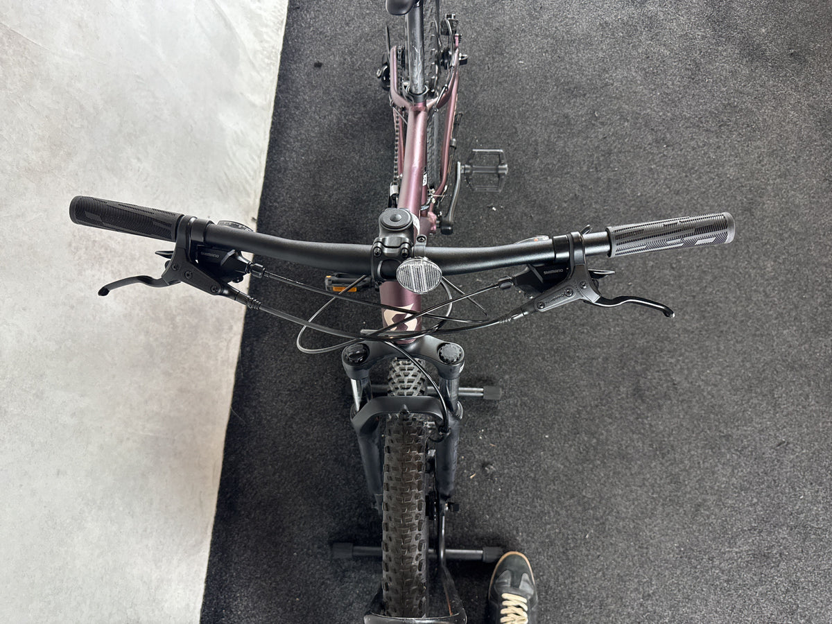 Bifoco — cockpit_von_vorne
