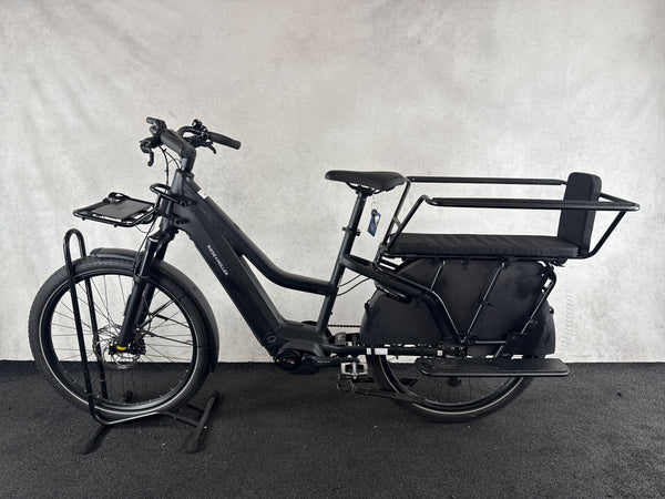 Riese & Müller Multicharger Mixte GT family