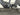 Bifoco — motor_links