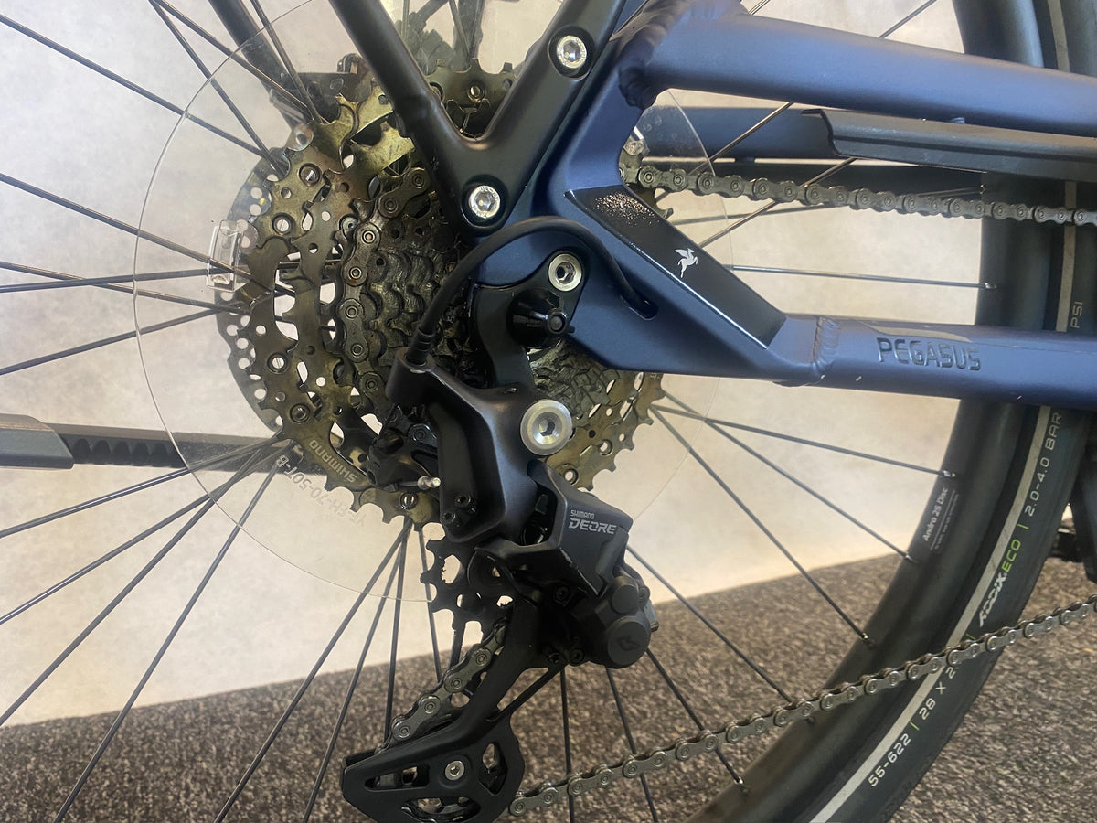 Pegasus Strong Evo 10 Lite