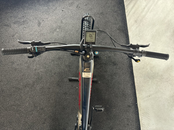 Corratec E-Power RS 160 Pro