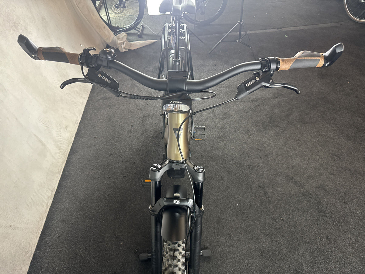 Bifoco — cockpit_von_vorne