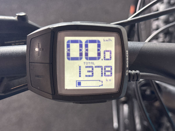 Bergamont E-Trailster Pro