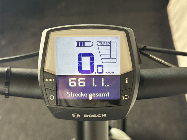 Pegasus Premio Evo 10 Lite