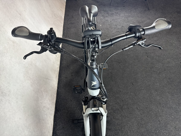 Pegasus Premio Evo 10 Lite