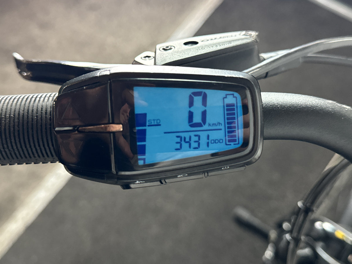 Raymon TourRay E 5.0