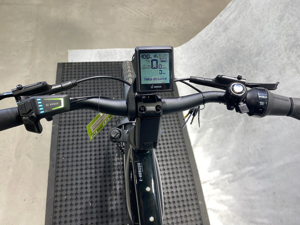 Bergamont E-Horizon Elite 6 Belt Gent