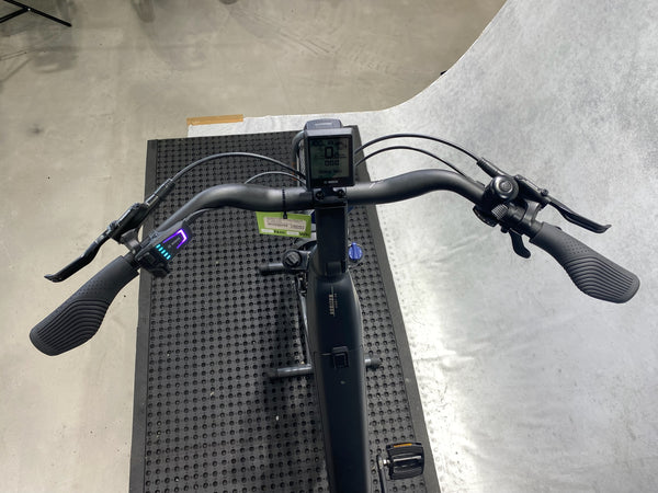 Bergamont E-Horizon Sport 20 Wave