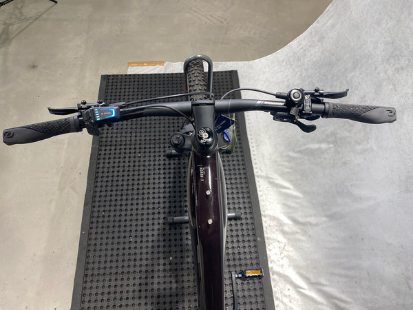 Bergamont E-Revox Sport FMN