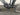 Bifoco — motor_links