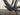 Bifoco — motor_links