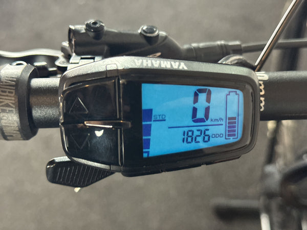 Haibike AllMtn CF 6