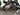 Bifoco — motor_links